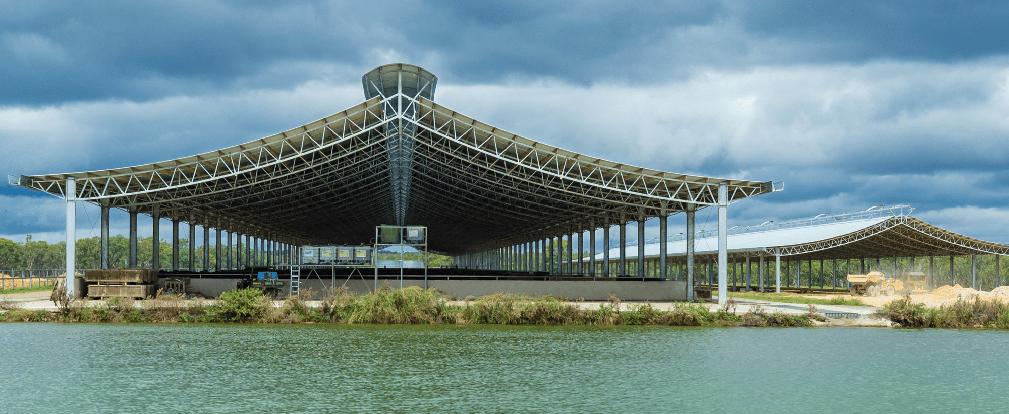 Ridgeback CTA Image (1)