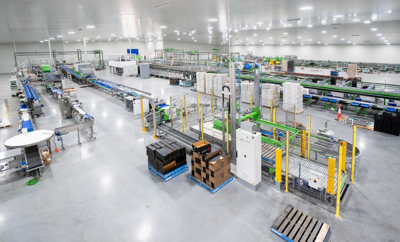 Red Rich Fruits Processing Facility